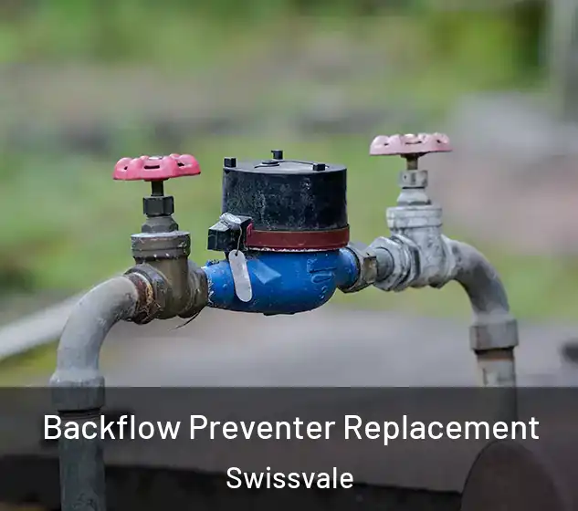  Backflow Preventer Replacement Swissvale