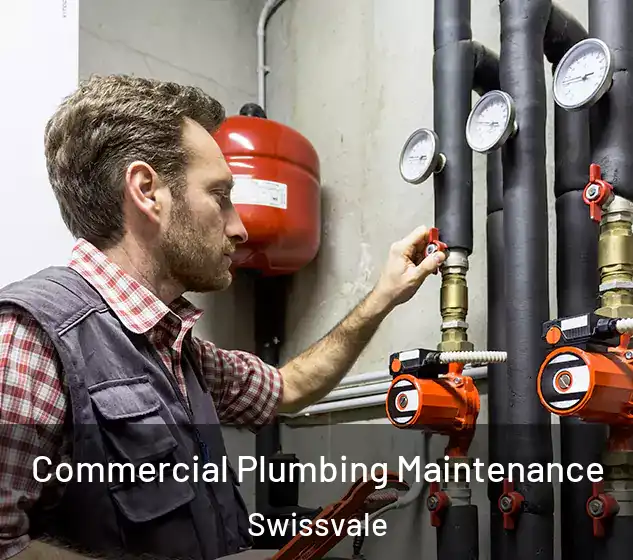  Commercial Plumbing Maintenance Swissvale