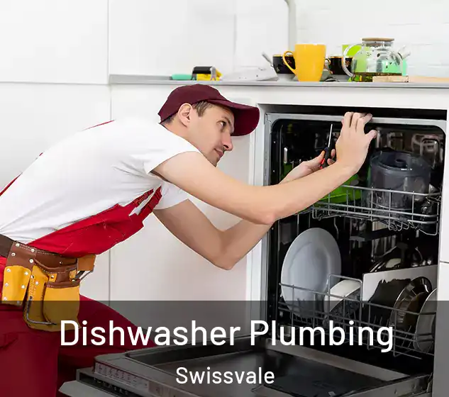  Dishwasher Plumbing Swissvale
