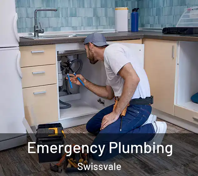  Emergency Plumbing Swissvale
