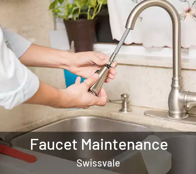  Faucet Maintenance Swissvale