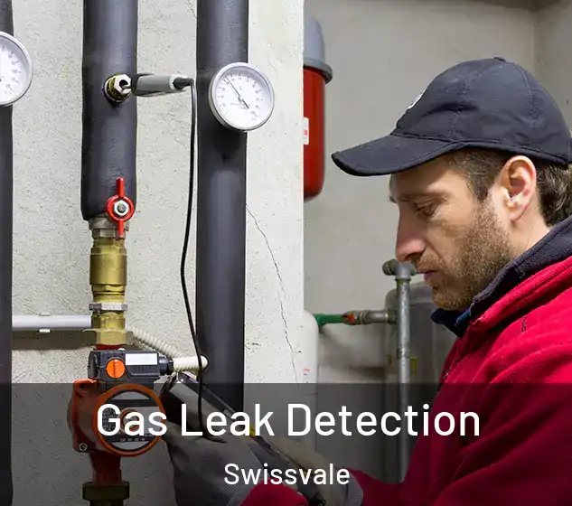  Gas Leak Detection Swissvale