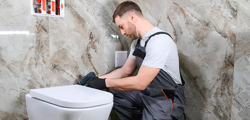 Scope of Bathroom Toilet Replacement Services in Swissvale, PA