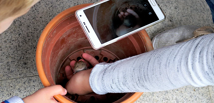 Scope of Drain Camera Inspection Services in Swissvale, PA