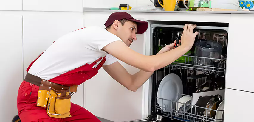 Scope of Kitchen Dishwasher Installation Services in Swissvale, PA