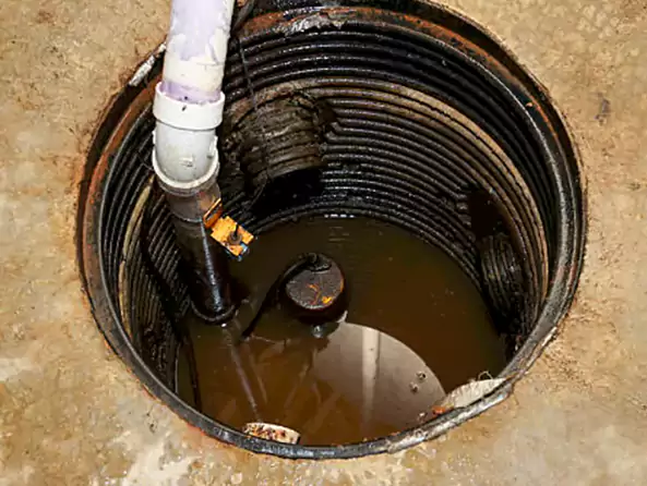Why Swissvale Plumbing is the First Choice for Sump Pump Maintenance Services in Swissvale, PA?