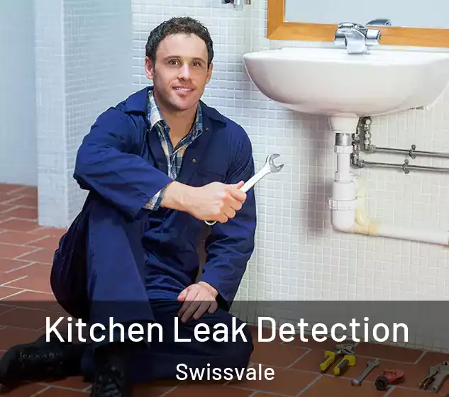  Kitchen Leak Detection Swissvale
