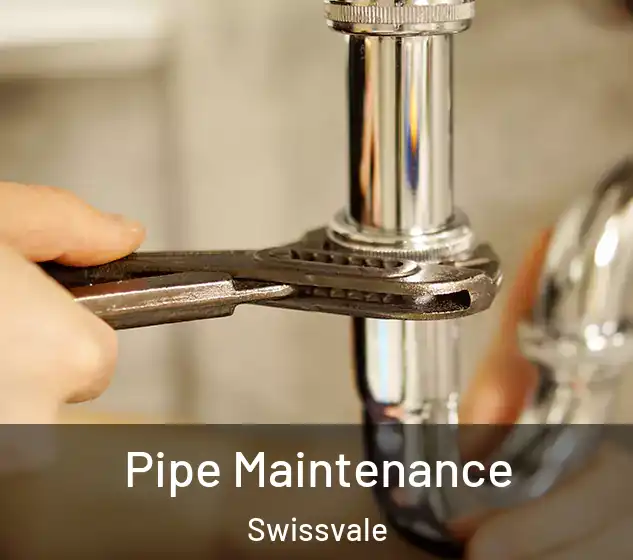  Pipe Maintenance Swissvale