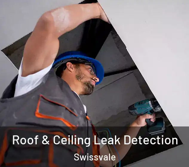  Roof & Ceiling Leak Detection Swissvale