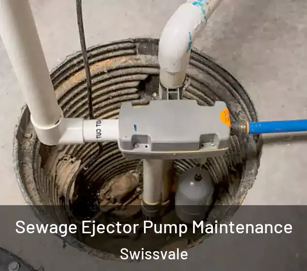  Sewage Ejector Pump Maintenance Swissvale
