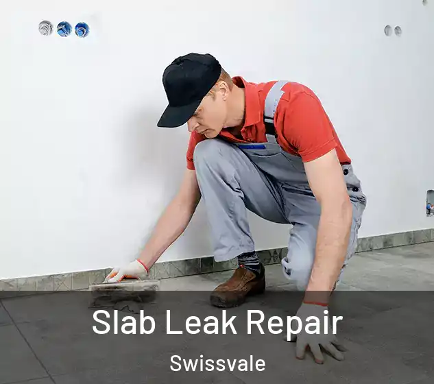  Slab Leak Repair Swissvale