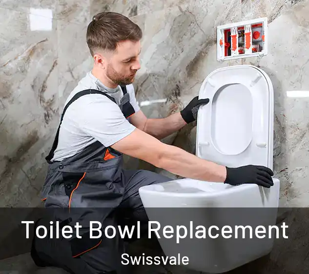  Toilet Bowl Replacement Swissvale