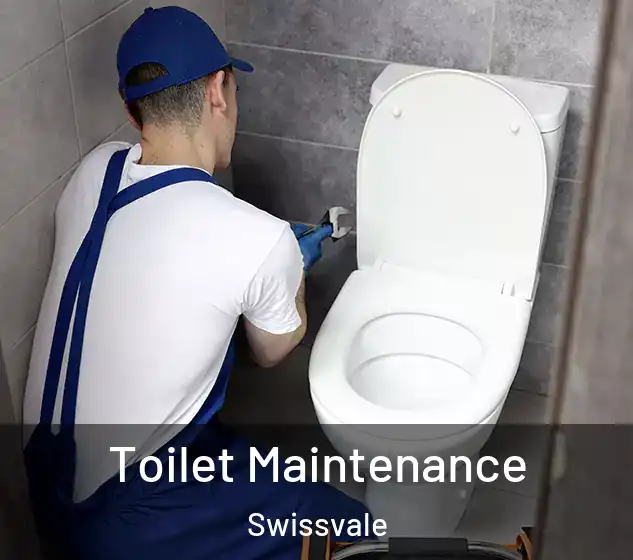 Toilet Maintenance Swissvale