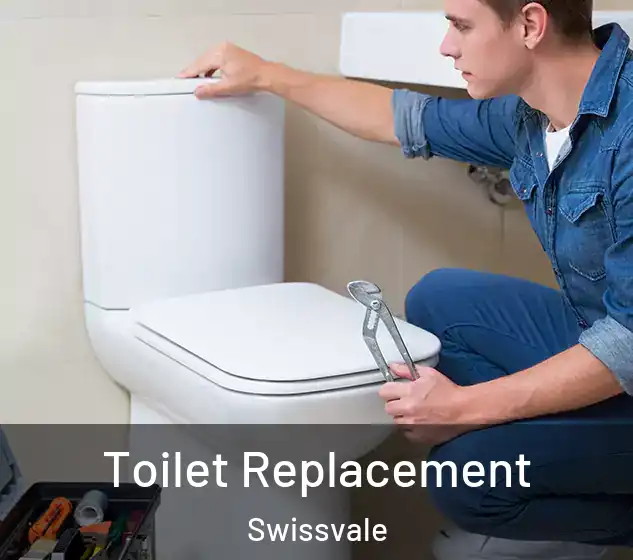  Toilet Replacement Swissvale