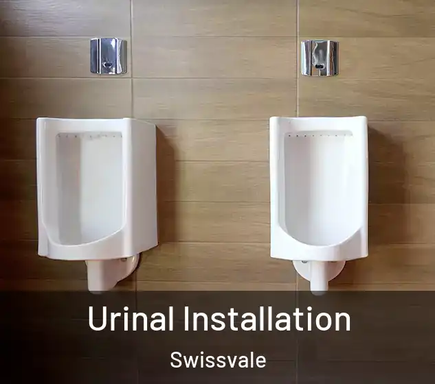  Urinal Installation Swissvale