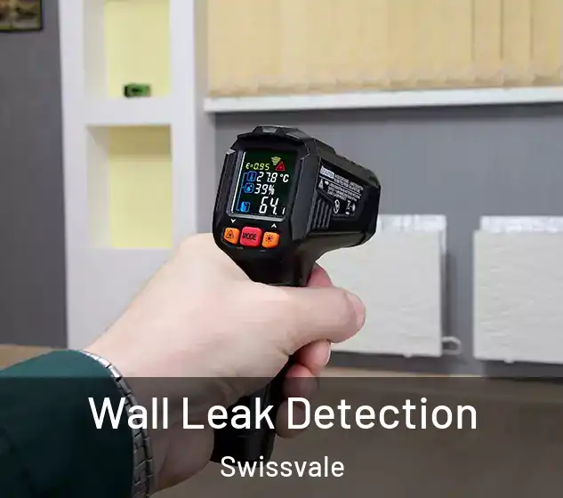  Wall Leak Detection Swissvale