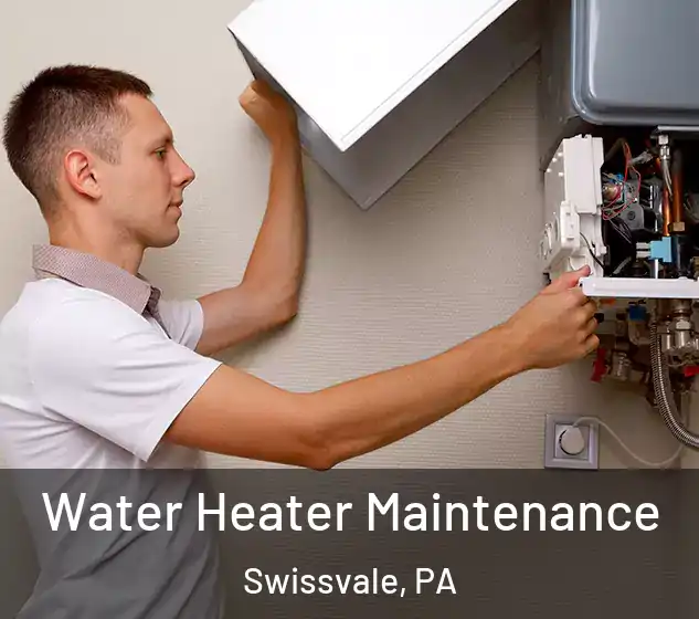  Water Heater Maintenance Swissvale, PA
