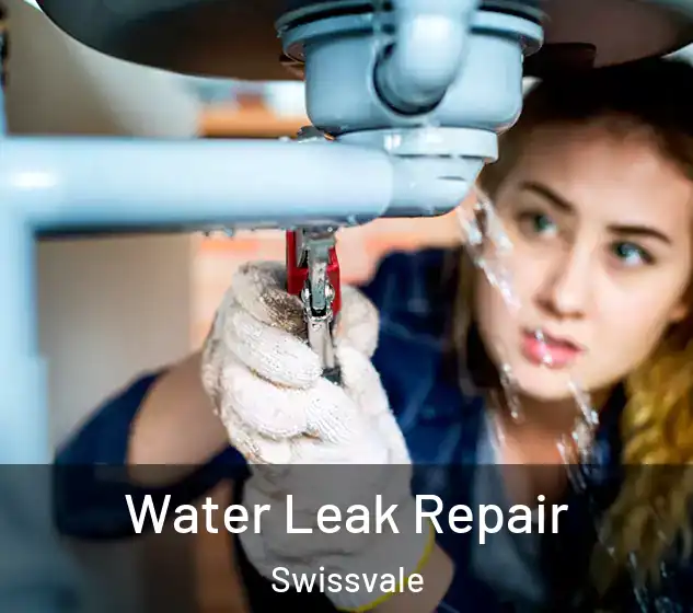  Water Leak Repair Swissvale